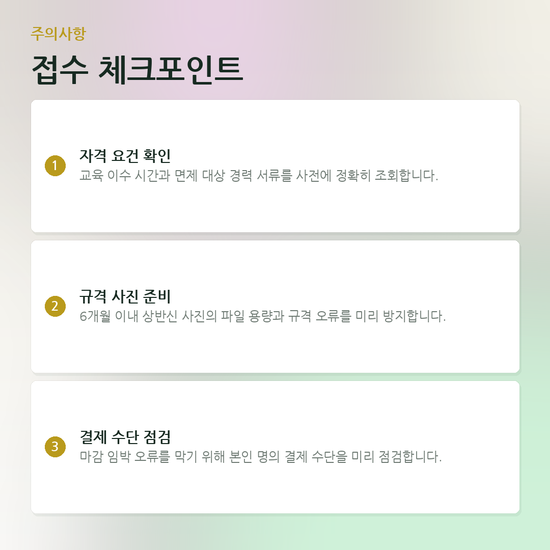 접수 체크포인트 요약 카드