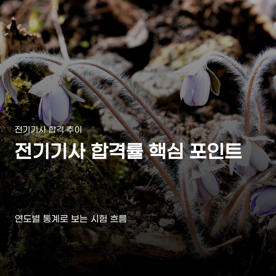 전기기사 합격률 변화 속에서 가장 먼저 확인해야 할 것