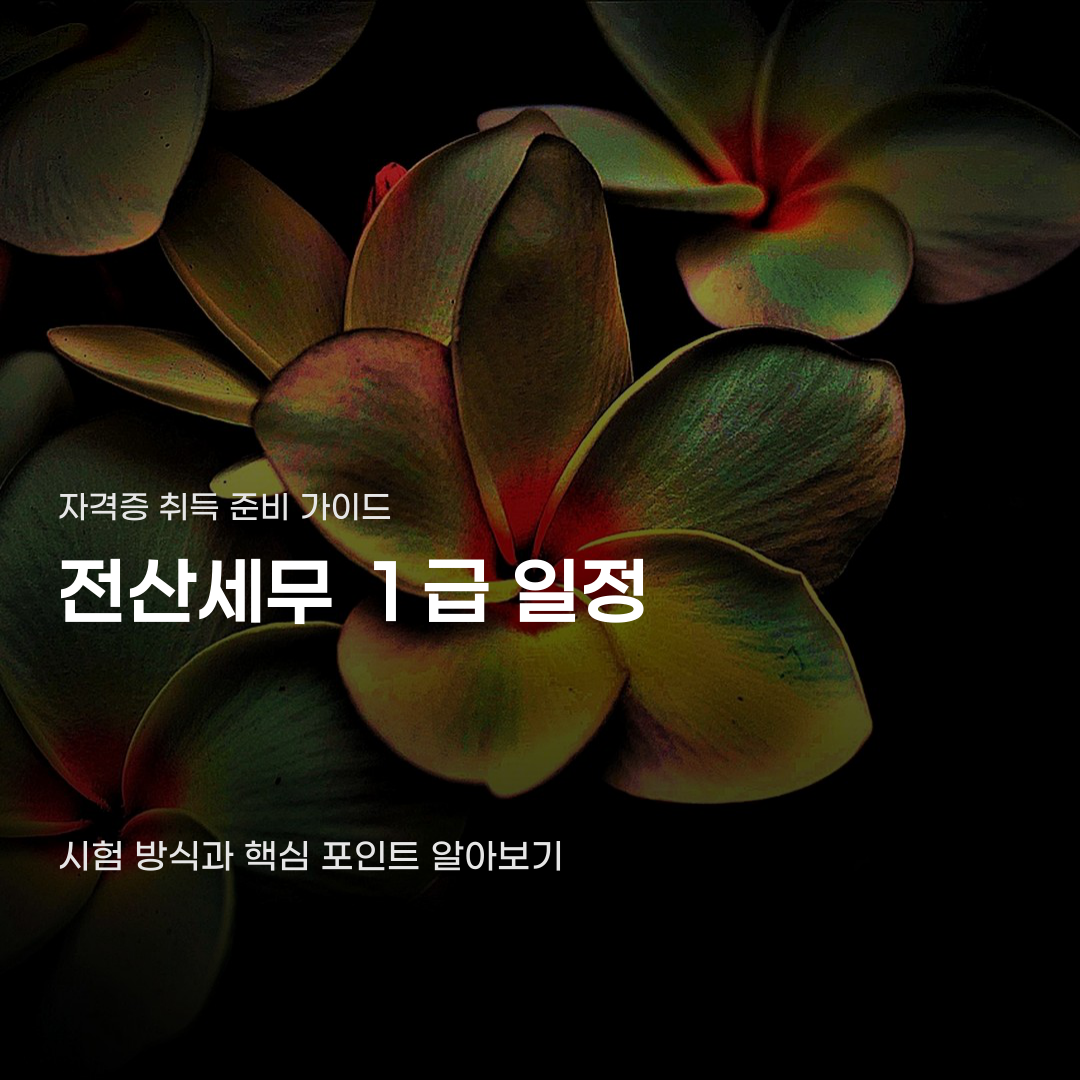 전산세무 1급 일정 확인할 때 반드시 고려할 시험 방식