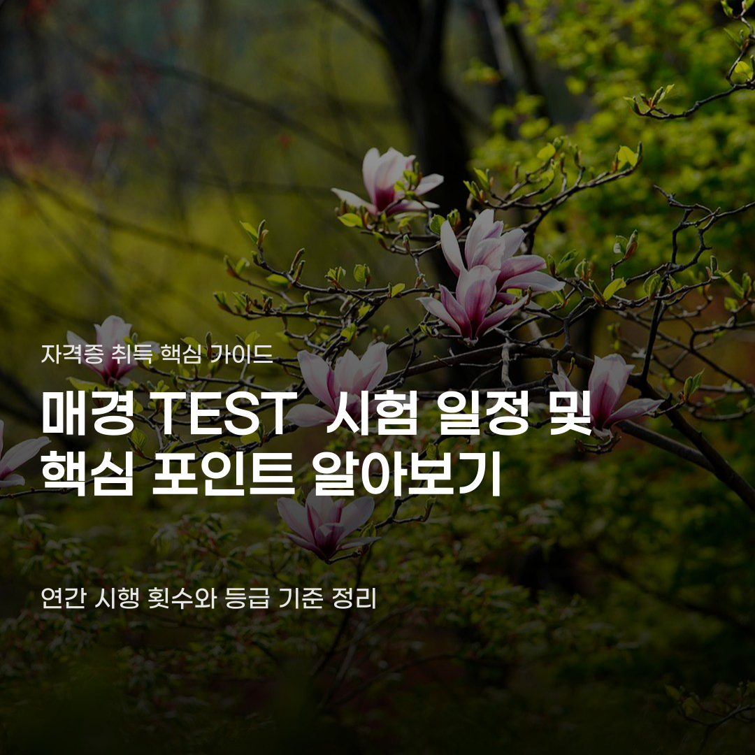 매경TEST 시험일정만 보고 고르면 안 돼…등급 인정 기준
